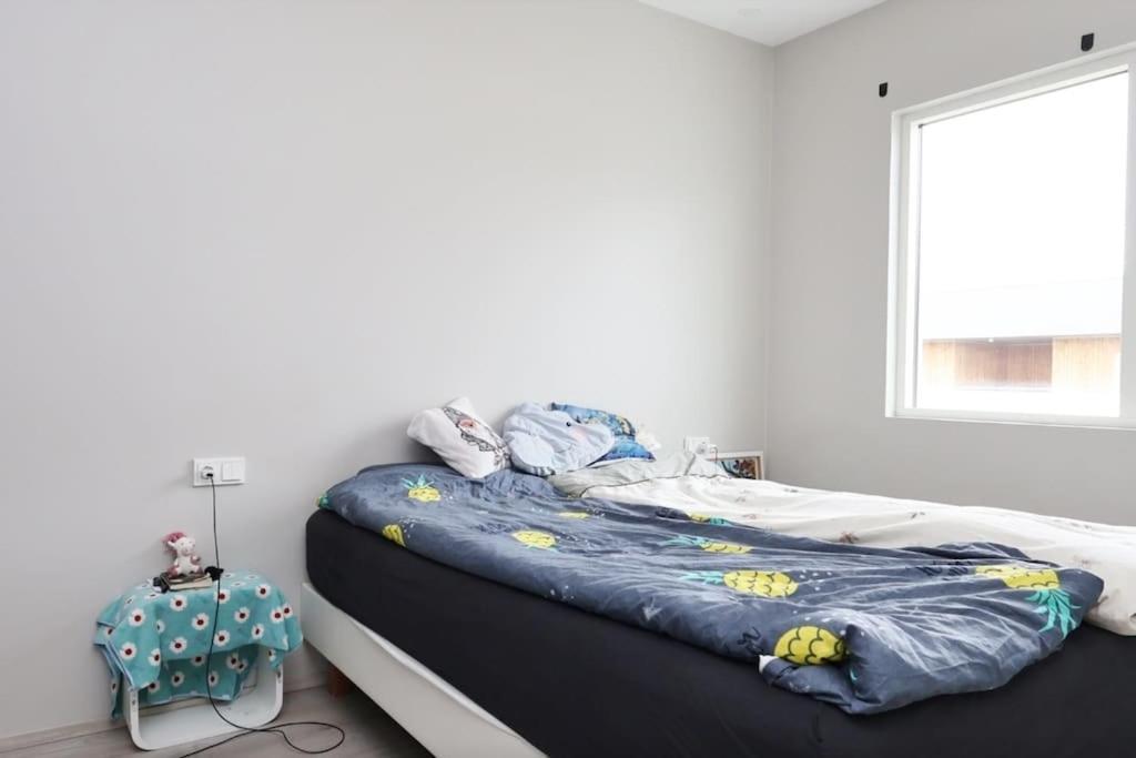 Nice & Cozy Two Bedroom Apartment With A Balcony Акурейрі Екстер'єр фото